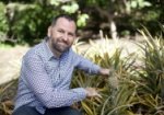 Scott Hill with pineapple in kitchen garden at Vaucluse House