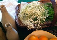 Elderflower with bottles, mint and fruit.