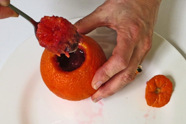 Scooping the flesh from the orange.