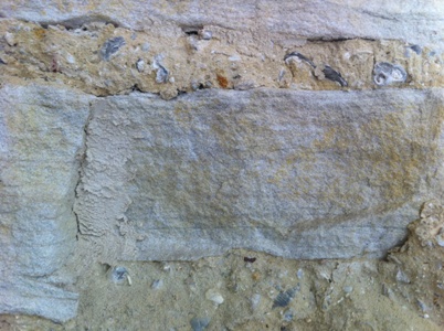 Oyster shells seen in mortar.