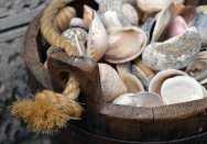 Wooden bucket containing a mixture of shells.