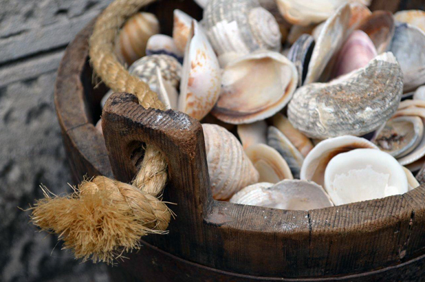 Wooden bucket containing a mixture of shells.