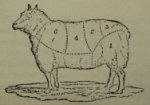 An illustration of a sheep with sections describing the different cuts of meat.