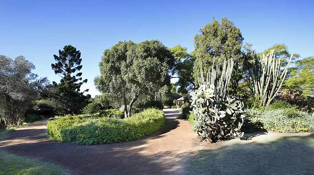 A view through the gardens of Elizabeth Farm, with the house in the background. 