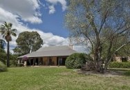 Elizabeth Farm, showing the enormous olive tree on the right.