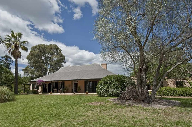 Elizabeth Farm, showing the enormous olive tree on the right.