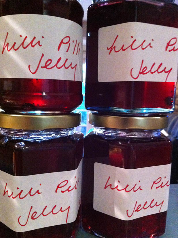 Lilly pilly jelly in jars.