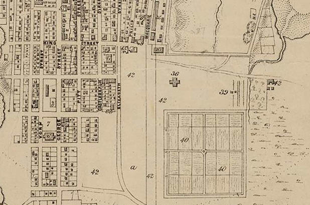 Plan of the Town and Suburbs of Sydney, August, 1822.