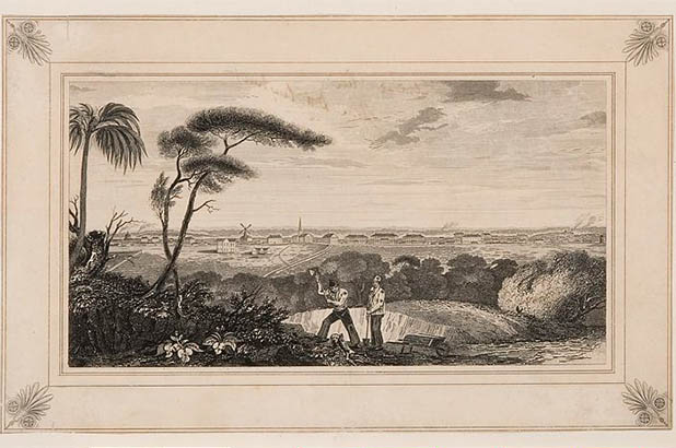 View of Sydney from Wolloomooloo Hill in 1829