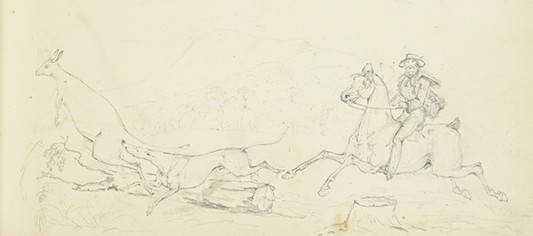 Sketch of a man on a horse and a dog hunting a kangaroo.