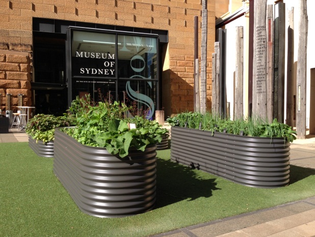 Chinese garden project at the Museum of Sydney