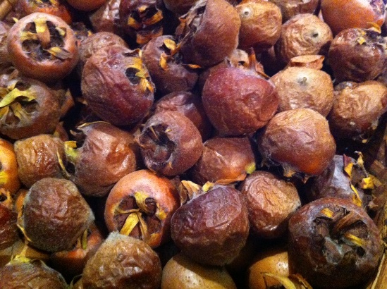 Medlars, bletted, day 12.