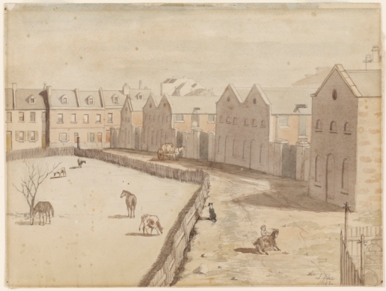 Stables of Lyons' Terrace, Macquarie St south, 1842 by John Rae. Dixson Galleries, State Library of NSW