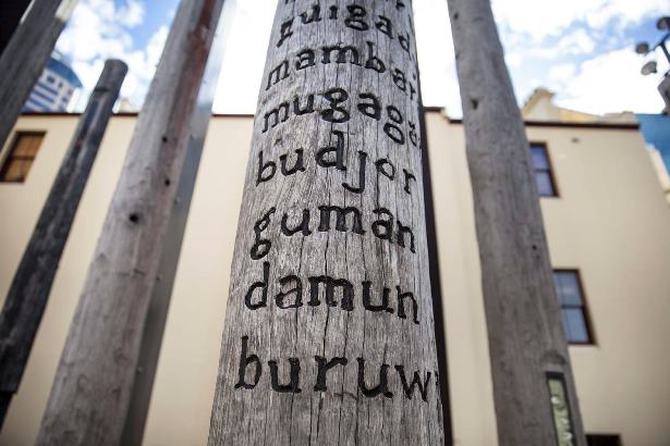 Detail view of 'Edge of the Trees' art installation, First Government House Place (forecourt), Museum of Sydney.