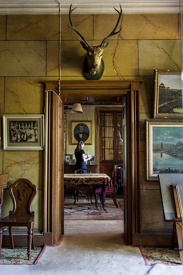 Stag trophy in the vestibule at Rouse Hill House