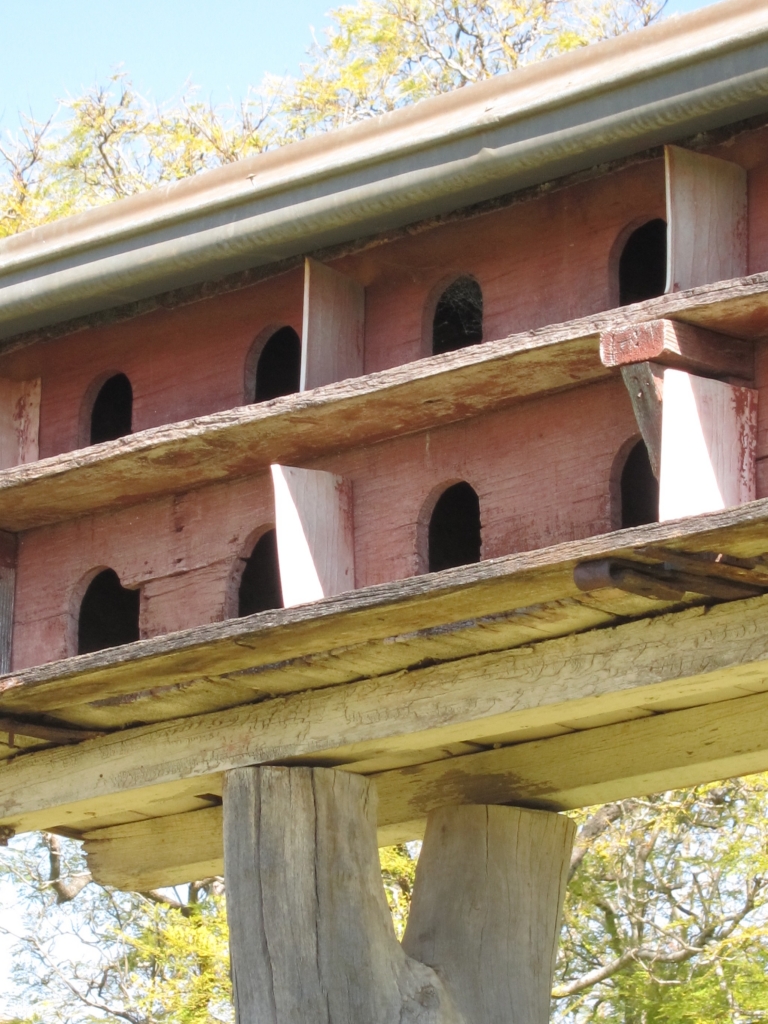 Pigeon house at Belgenny Farm