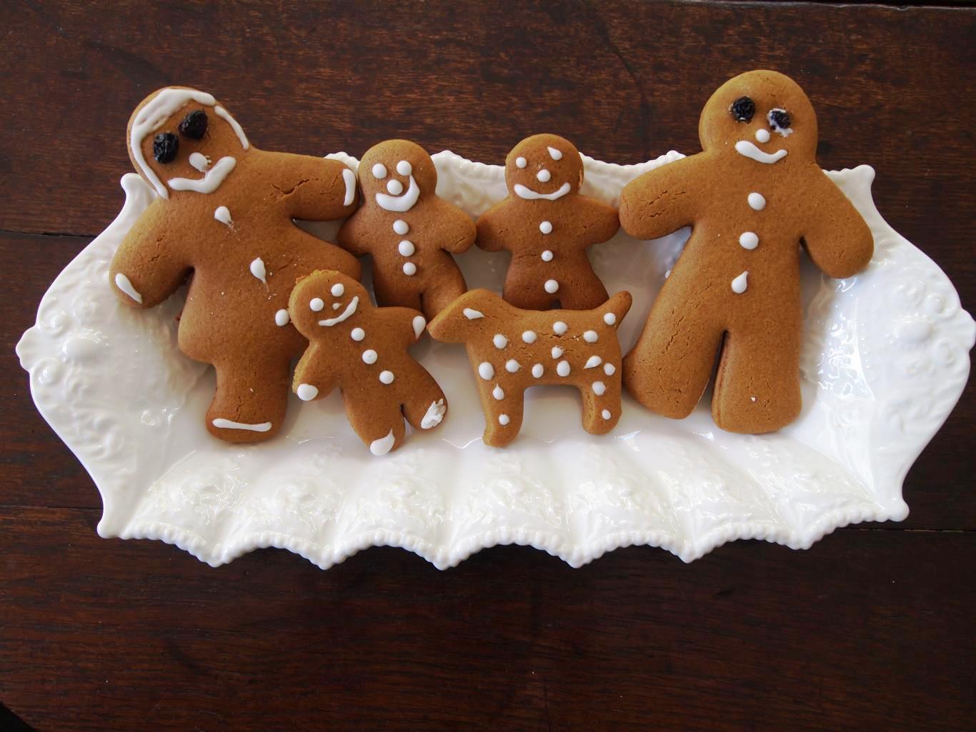 Gingerbread biscuits