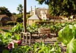 All the makings of an heirloom salad in the kitchen garden at Vaucluse House