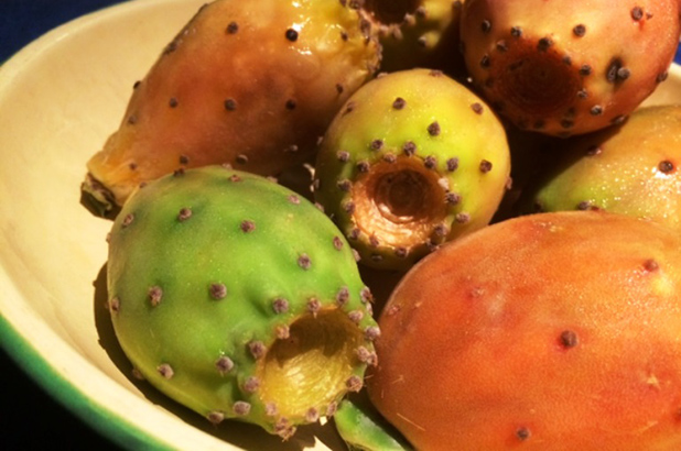 prickly pear fruit (needles removed) in an enamel bowl