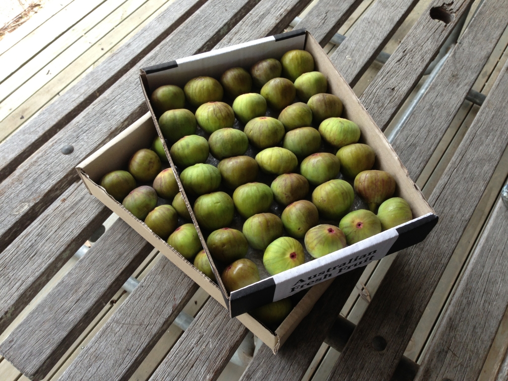 Trays of figs fresh from the tree and ready to be devoured