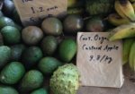 Photograph of a custard apple with other fruits in a market display