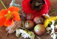 Photograph of cherry guavas and flowers