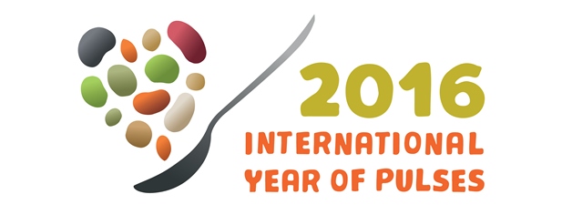 International Year of Pulses (IYP) 2016 official logo. Food and agriculture organization of the United Nations. http://www.fao.org/pulses-2016/en/