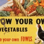 ‘Red flannel hash’ and other wartime cookery solutions